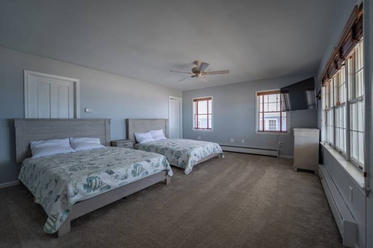 eztt9xcp7w5detarbiff 768x512