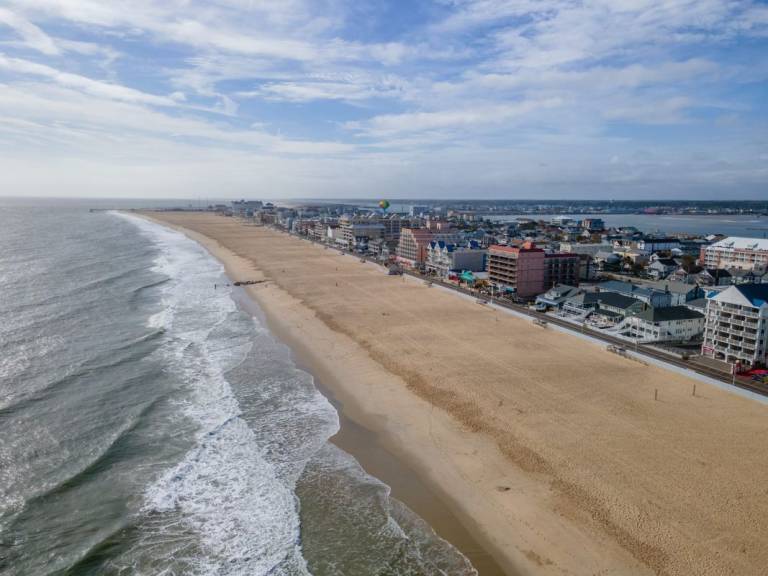 ieceidi8jxxedv0ulbhh 768x576