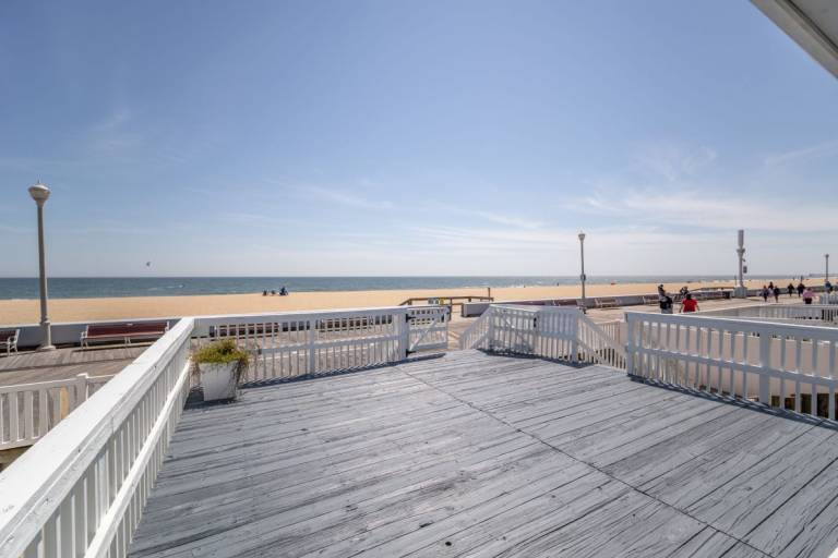 opc3hmvbhcziuibjgzys 768x512