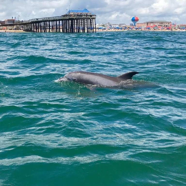 Ocean City Needs YOU: Choose the Winning Photos