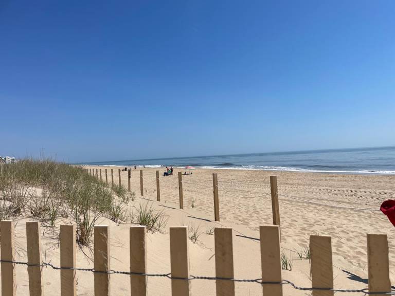 An April Surprise in Ocean City!