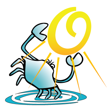 OceanCity.com Icon