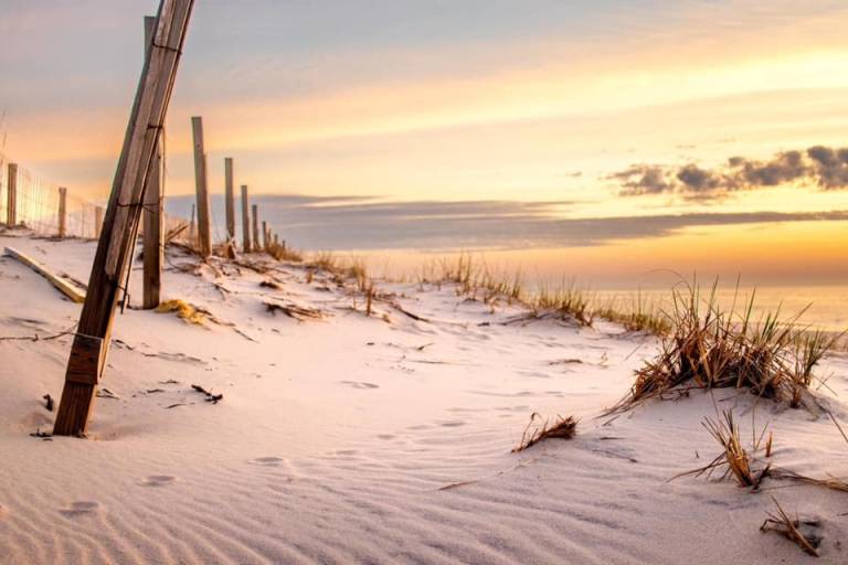 “Dunes at Sunrise” Captures the Essence of Ocean City in Winning Photo