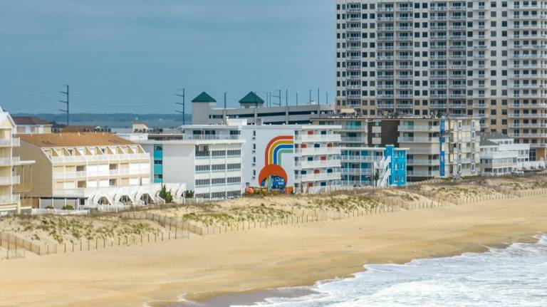 445000812 1007998024399013 3254242694835834139 n 2 768x431