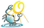 OceanCity.com
