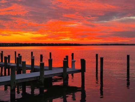 Cell Phone Sunset 006 450x338