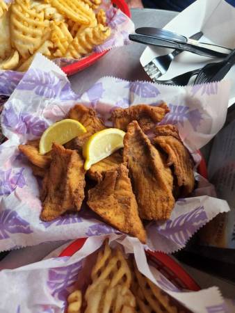 Fish Pic 002 338x450