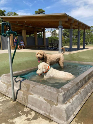 Dog Park in Ocean City, Maryland