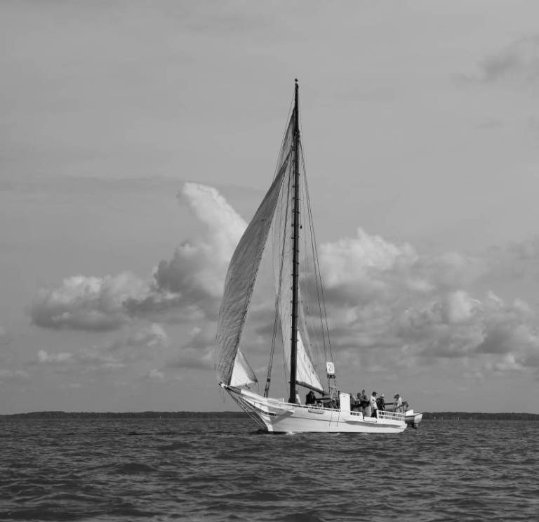 skipjack under sail in the Chesapeake Bay