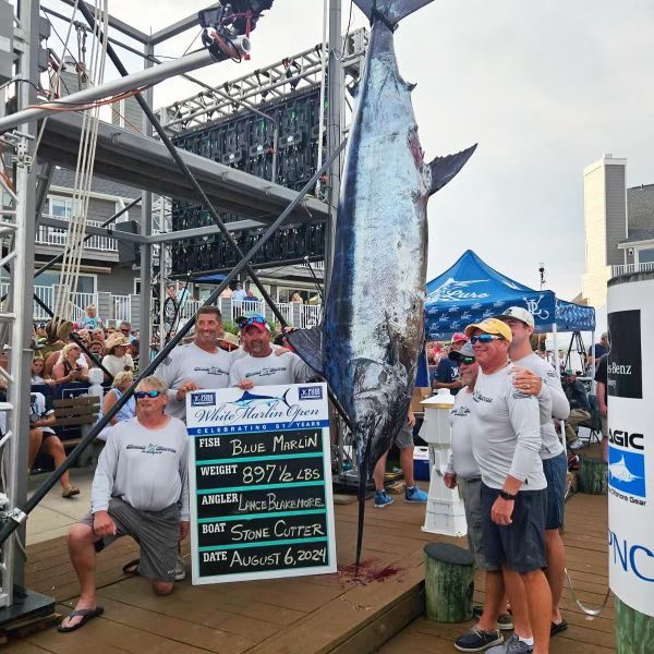 stone cutter blue marlin 897.5 pounds white marlin open