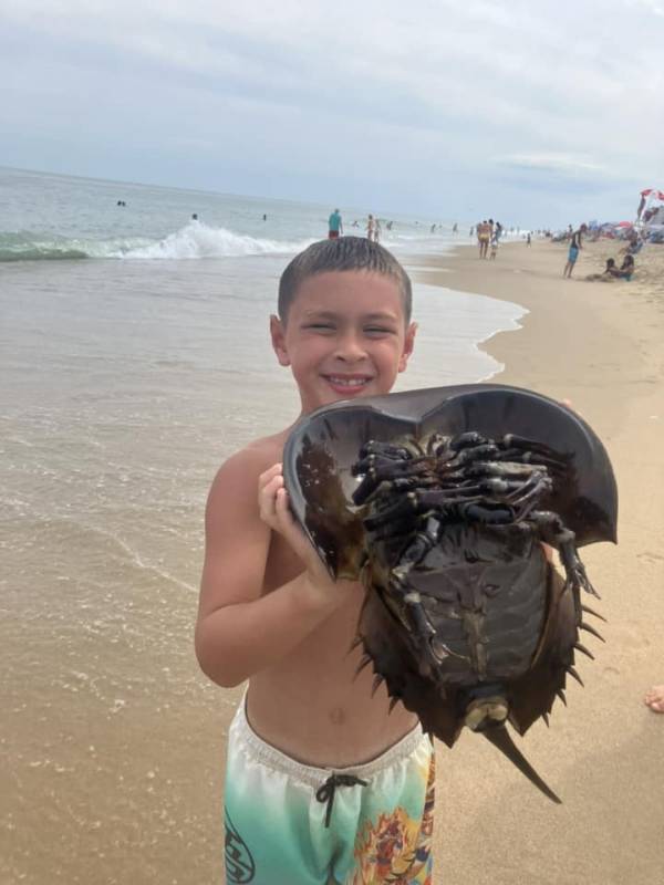 Boy with hermit crab on Ocean City Md beach