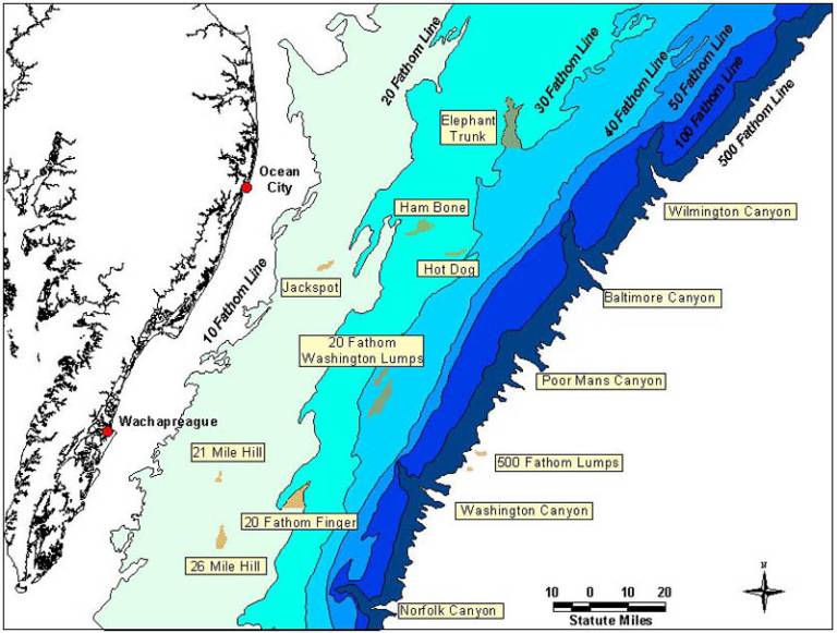 Brendan Hanley of Pure Lure Weighs in About Weather For 2024 White Marlin Open