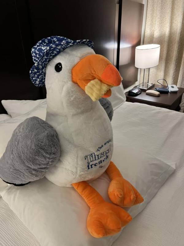 Ocean City Md Seagull toy