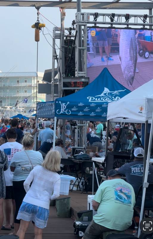 tuna on the scales at the White Marlin Open 2024
