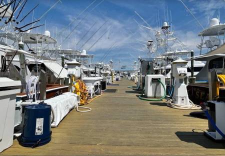 wmo sunset marina white marlin open