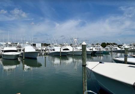wmo sunset marina white marlin open