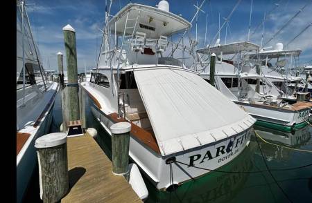 wmo sunset marina white marlin open