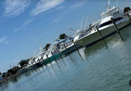 wmo sunset marina white marlin open