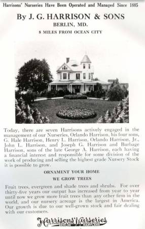 Harrisons
