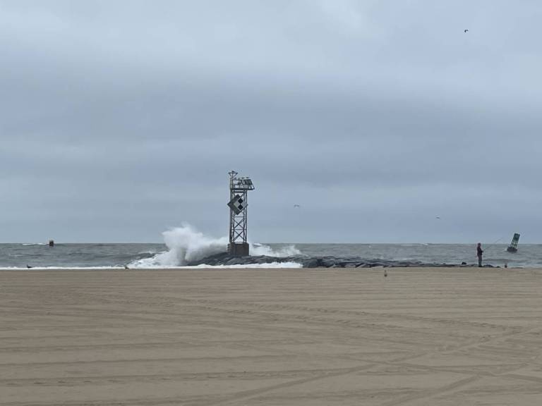 Wild Waves in Ocean City Md
