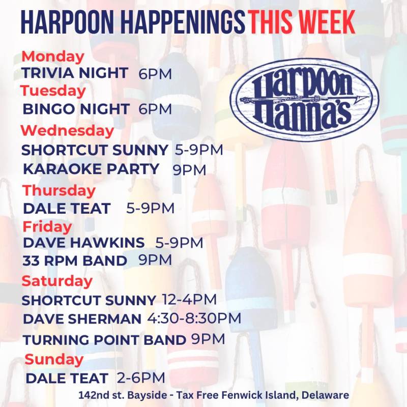 harpoon hanna's schedule during Oceans Calling