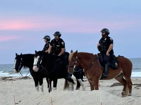 Country Calling Ocean City, MD, horses, police