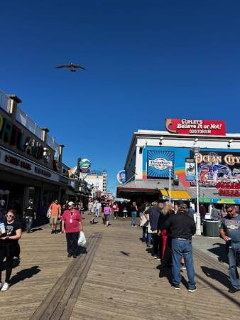 Boardwalk view on Endless Summer weekend