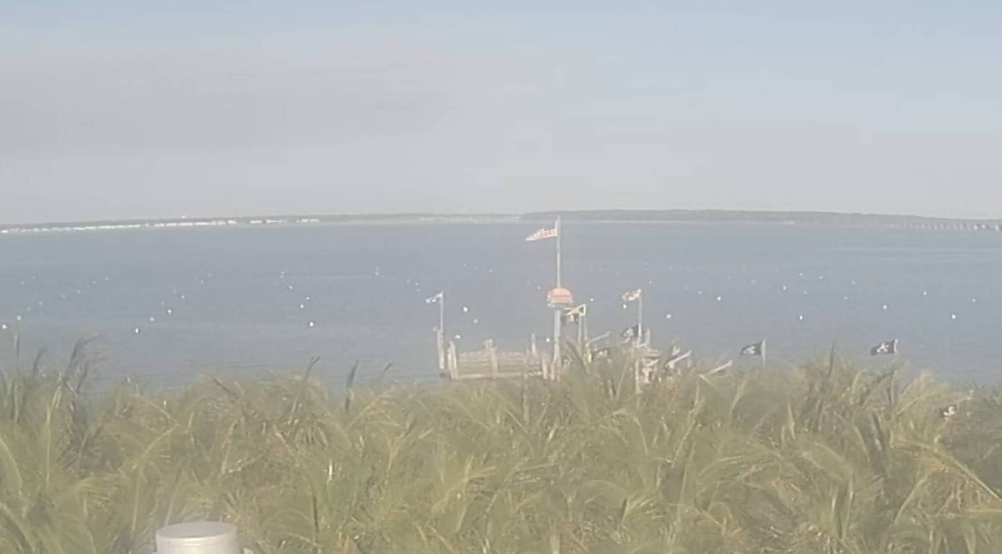 Bayside View from Seacrets Webcam