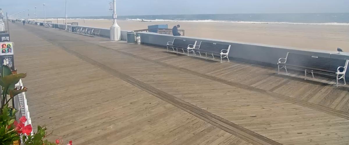 Boardwalk Webcam from Hammerheads