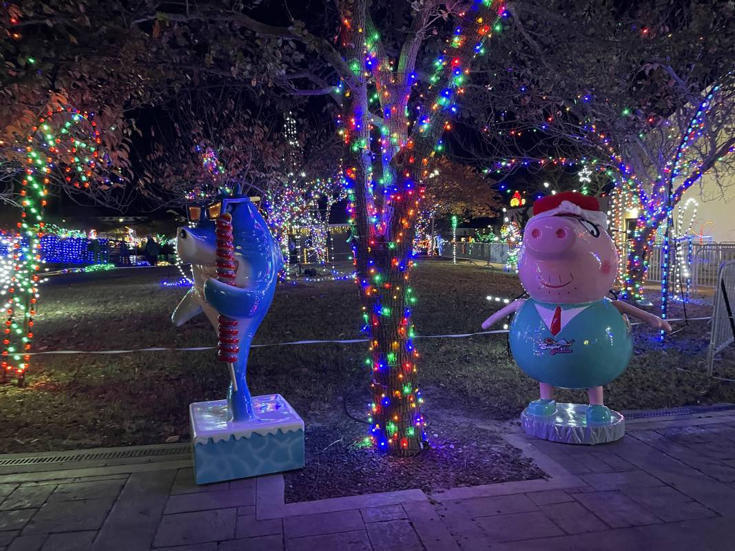 Winterfest of Lights in Ocean City