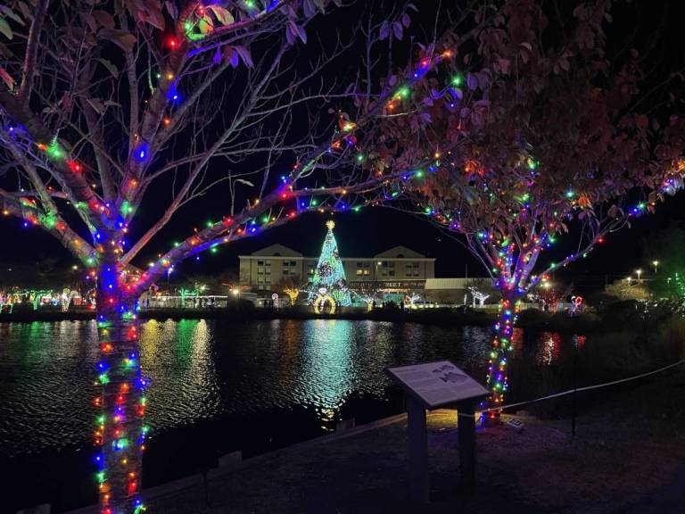 Winterfest of Lights in Ocean City