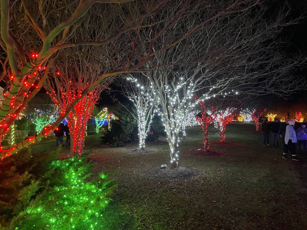 Winterfest of Lights in Ocean City