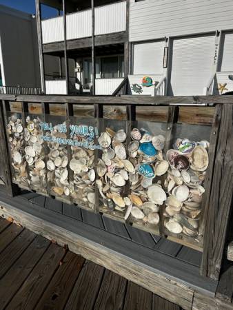 Love Shells on the OC Boardwalk