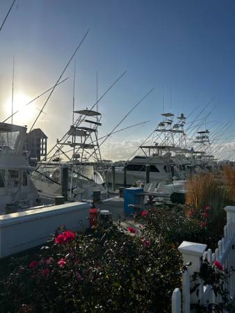 Somerset Street marina view
