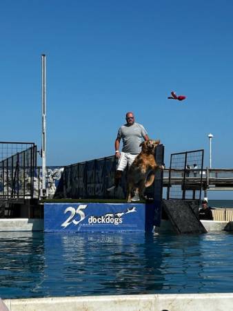 dog jumping comps at sunfest