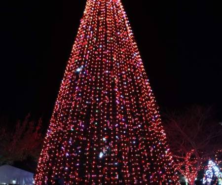 large tree lighting at Winterfest