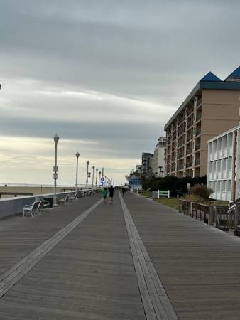 quiet morning boardwalk