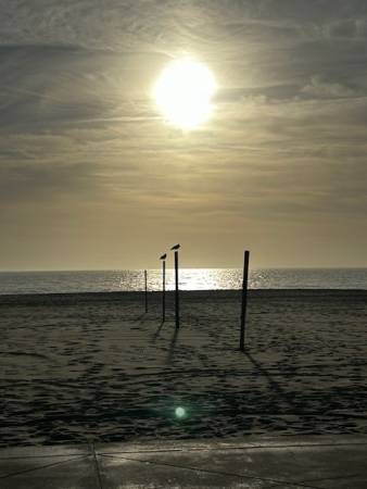 sunrise with birds on posts