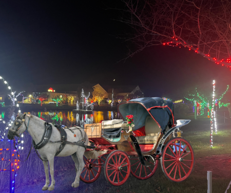 horse and carriage ride at winterfest of lights ocean horse and carriage ride at winterfest of lights ocean
