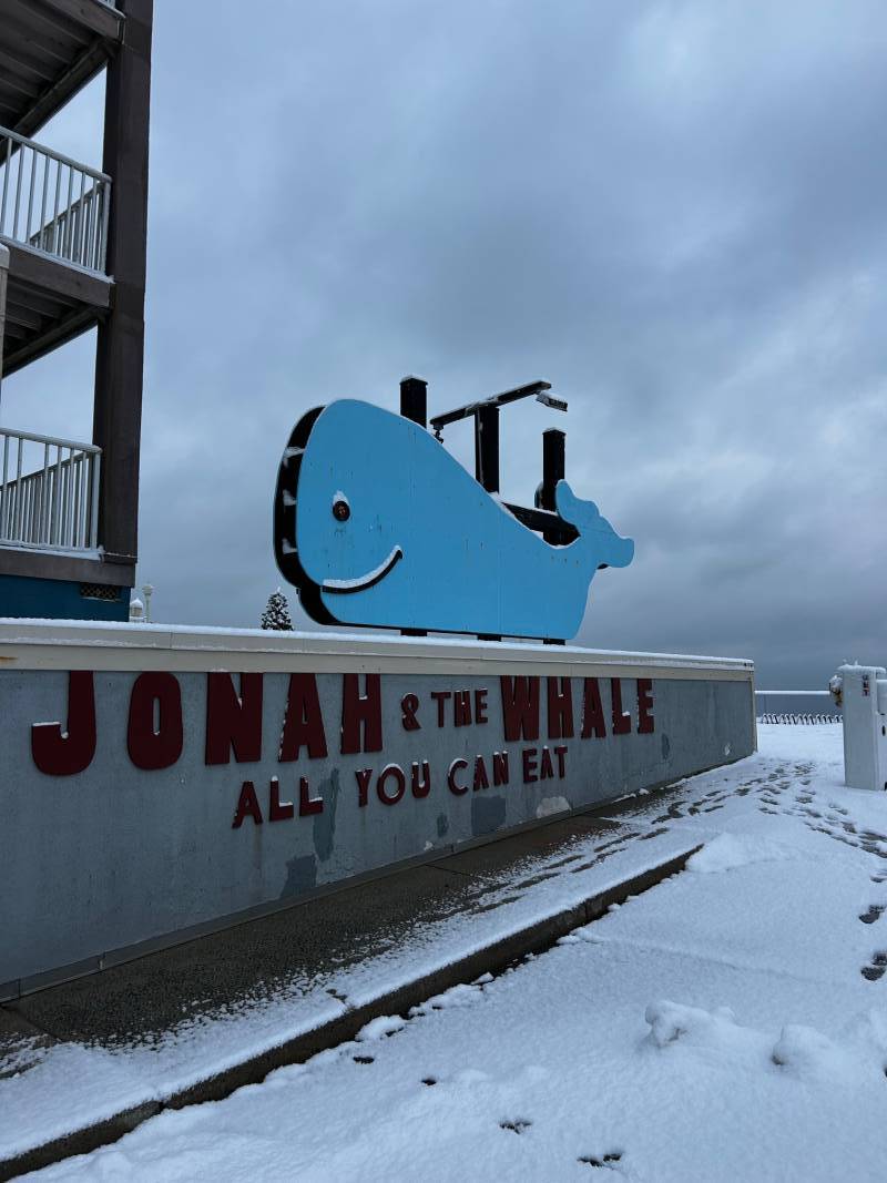 Whale on a snowy day