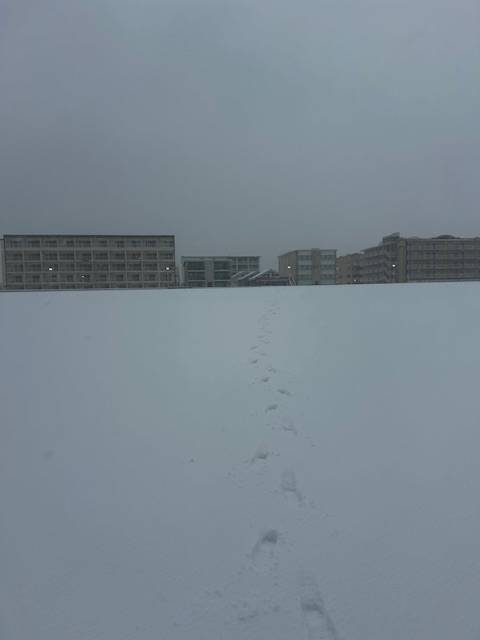 beach picture towards boardwalk