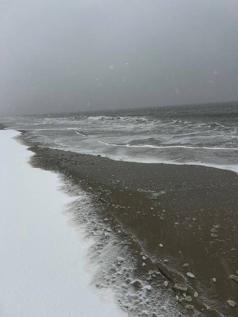 shoreline picture