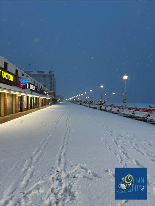Snowy boardwalk from this week