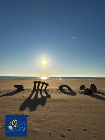 Sunrise view with beach dinosaur skeleton