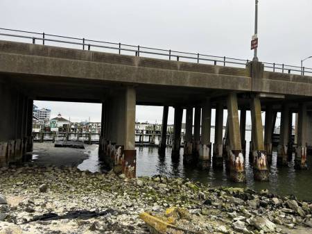 low tide by Route 50 Bridge