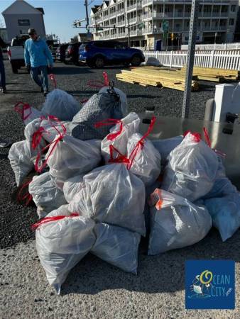 trash collected by Beach Heroes OC