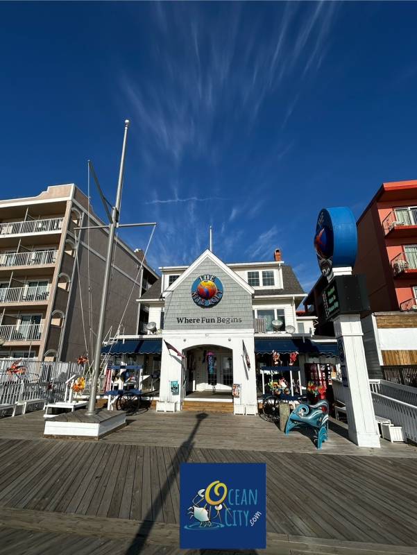 Kite Loft