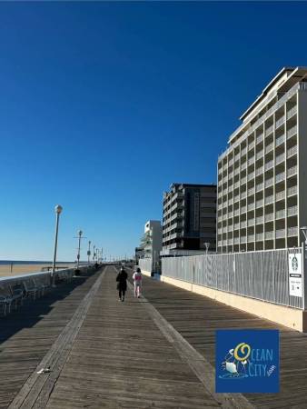 boardwalk walkers