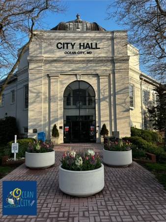 City Hall new flowers
