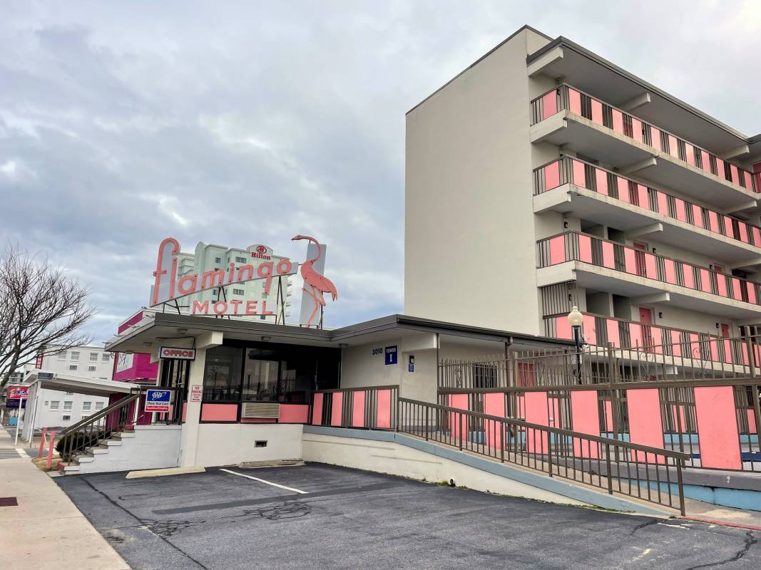 Flamingo Motel Ocean City